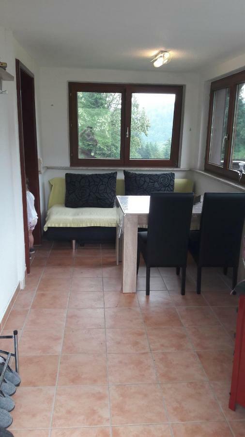 Ferienhaus Moosbachtal Thueringer Wald Bei Oberhof Rotterode Exterior foto